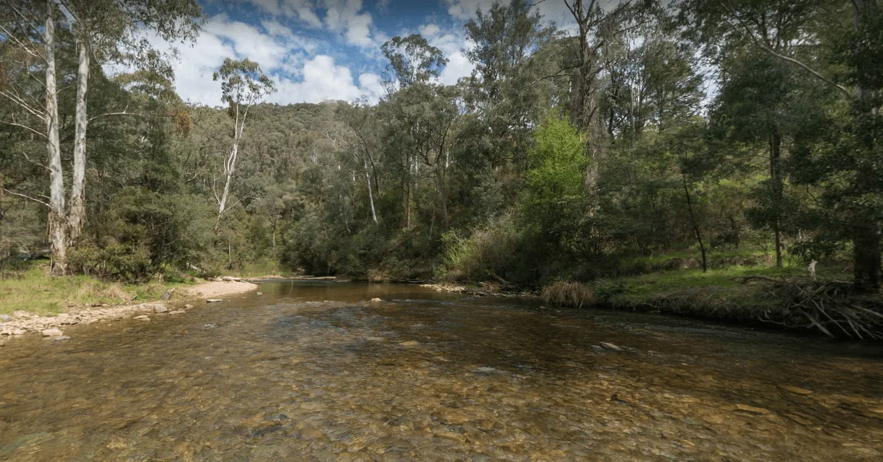 Image of Ah Youngs Campsite