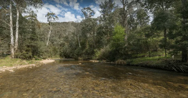 Image of Ah Youngs Campsite