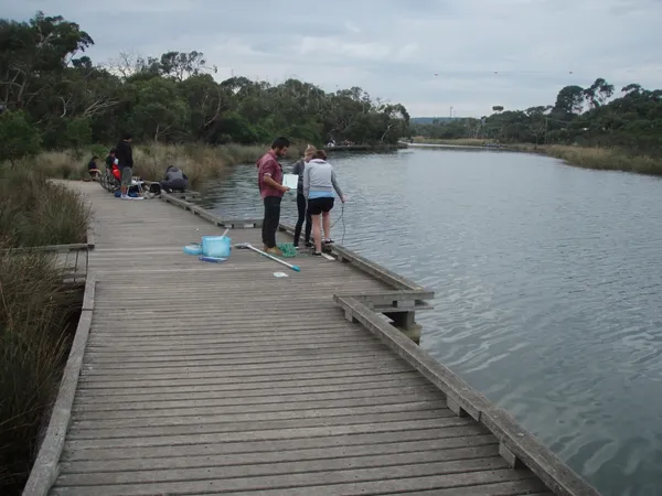 Image of Anglesea River Estuary