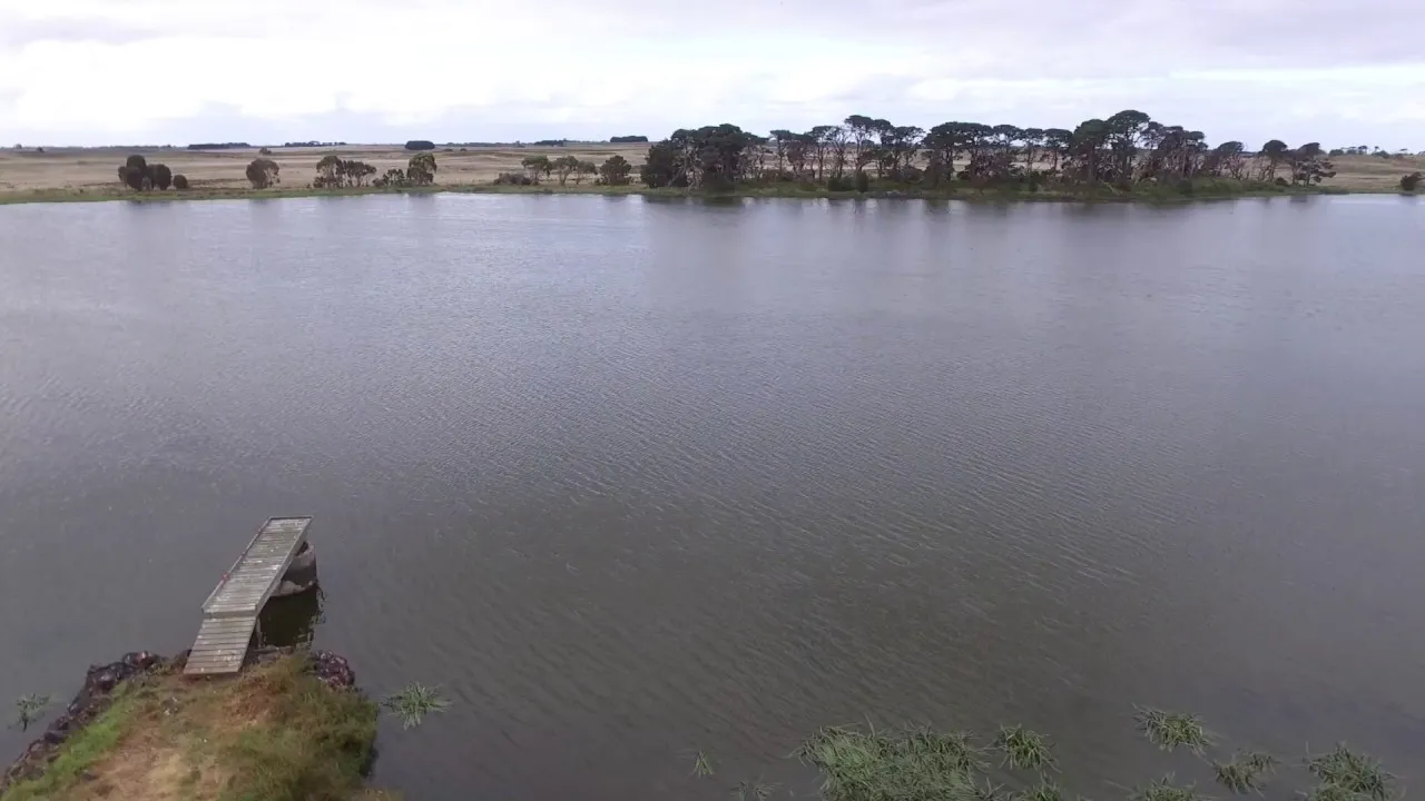 Aringa Reservoir Fishing Guide