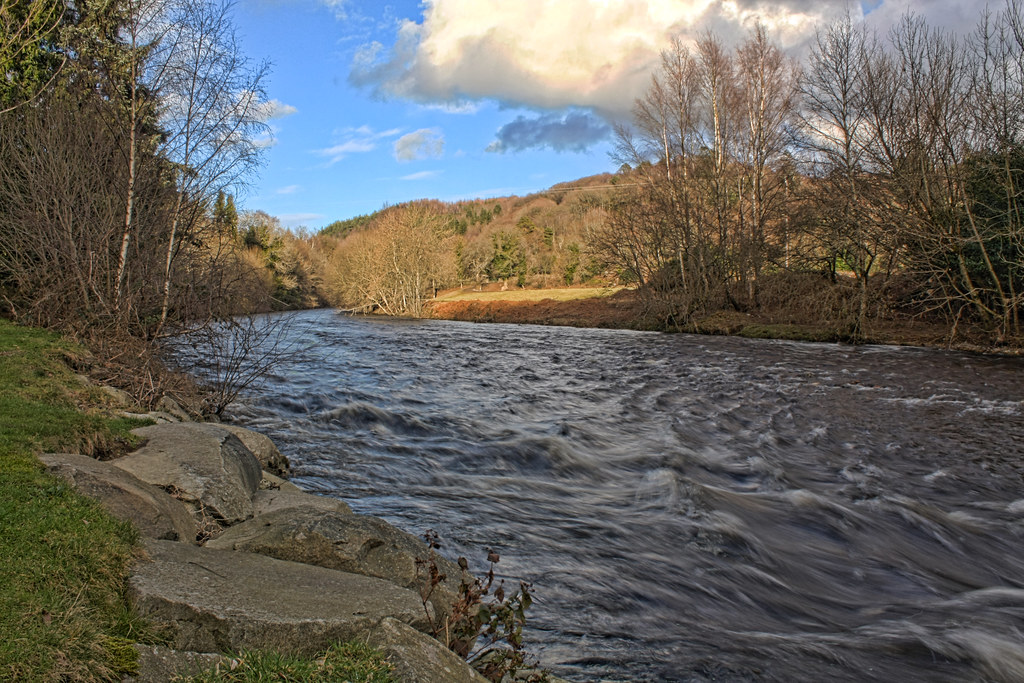 Avoca River