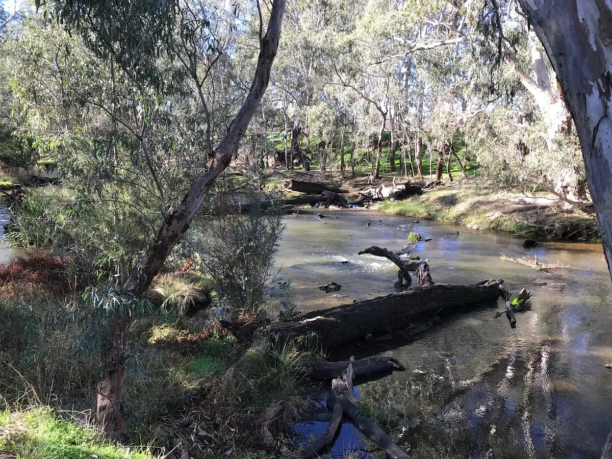 Image of Axedale Reserve