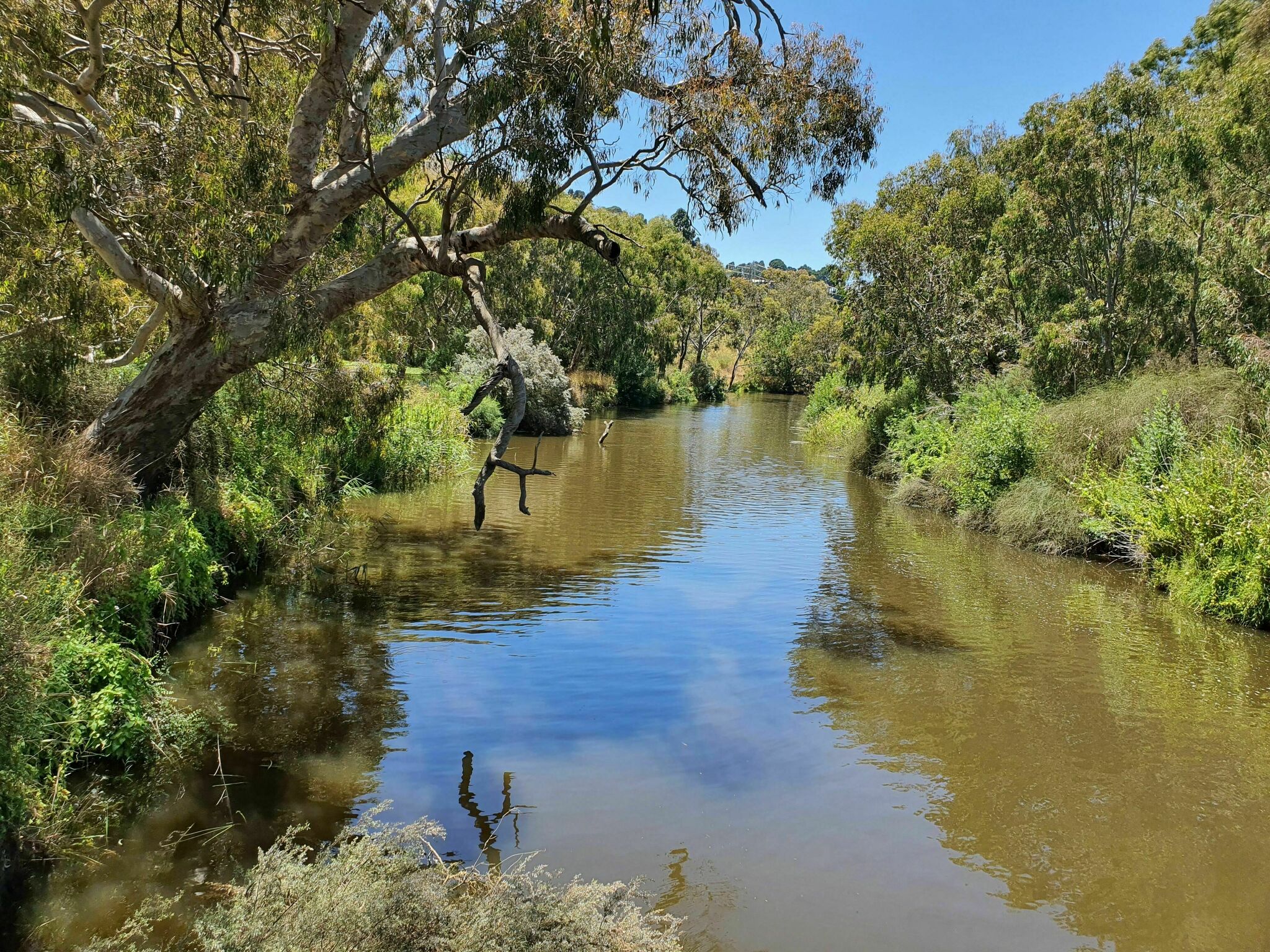 Barwon River (Estuarine Section)