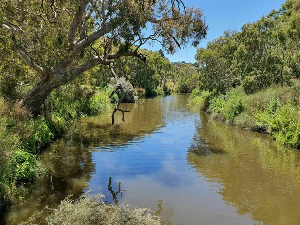 Image of Barwon River (Estuarine Section)