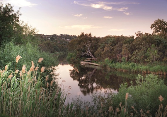 Barwon River (Freshwater Section)