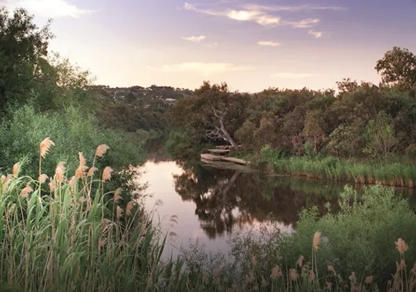 Image of Barwon River (Freshwater Section)