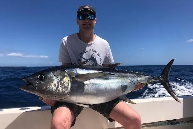 Big Eye Tuna Fishing in Melbourne