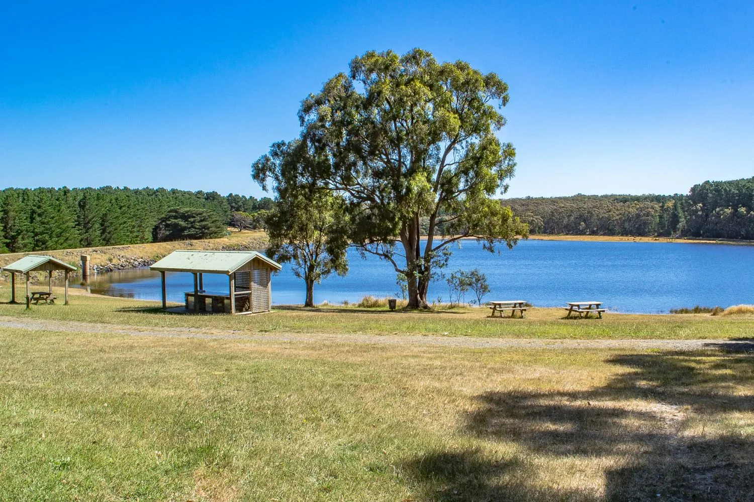 Bostock Reservoir Fishing Guide