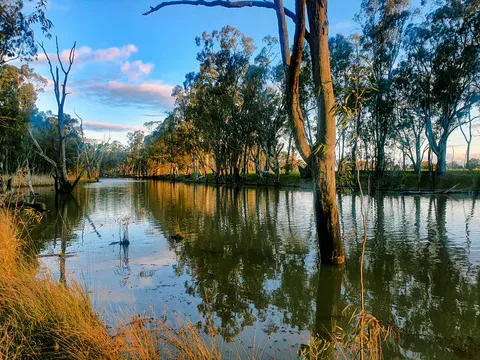 Broken Creek Fishing Guide