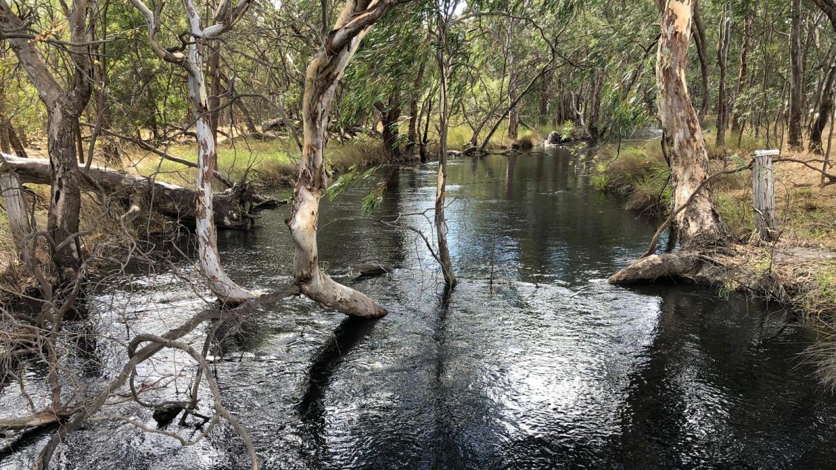 Broken Creek downstream of Nathalia