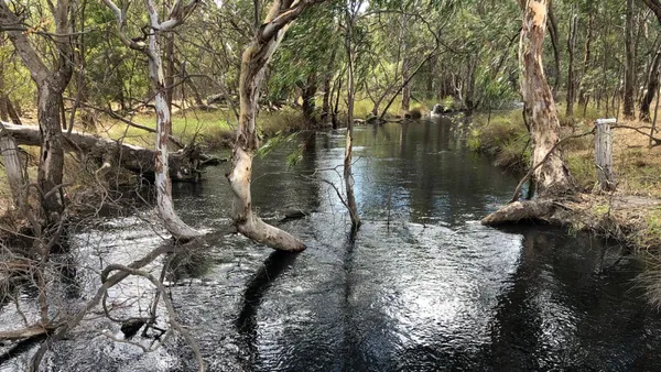 Image of Broken Creek downstream of Nathalia