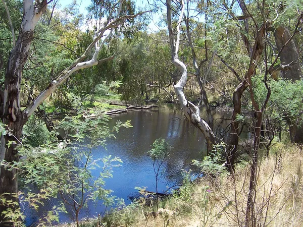 Image of Broken River at Casey's Weir