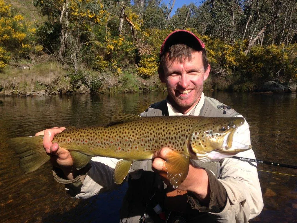 Brown Trout Fishing in Melbourne