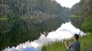 Image of Buffalo Lake