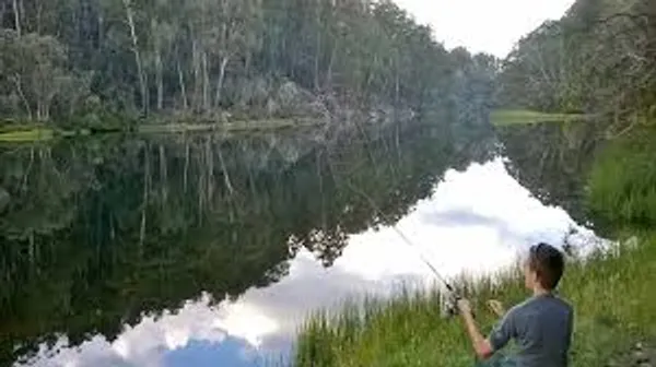 Image of Buffalo Lake