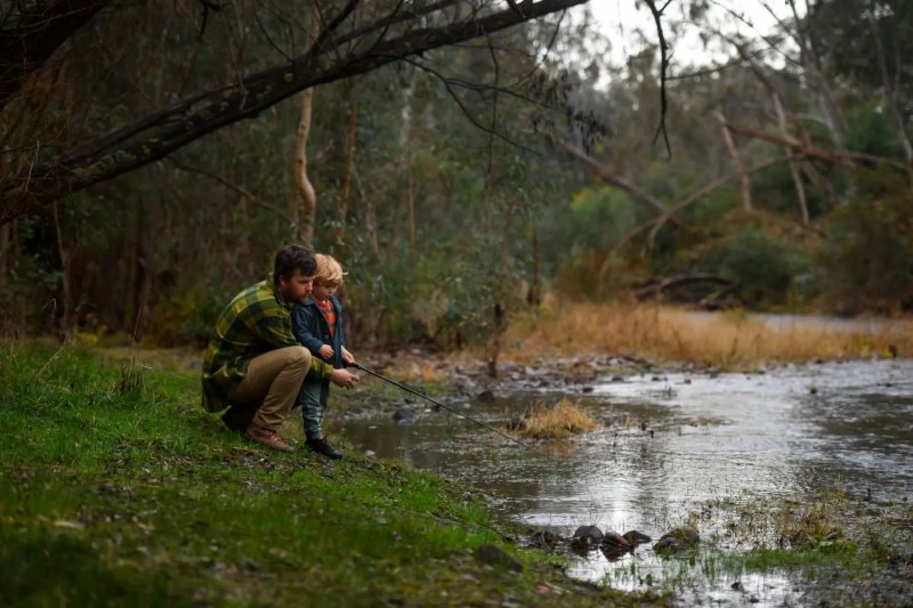 Image of Bunyip