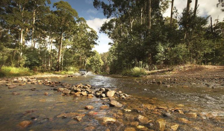 Bunyip River