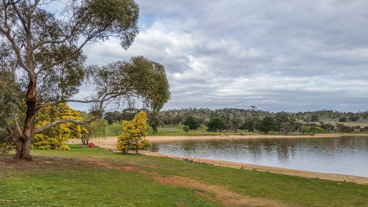 Cairn Curran Reservoir Fishing Guide