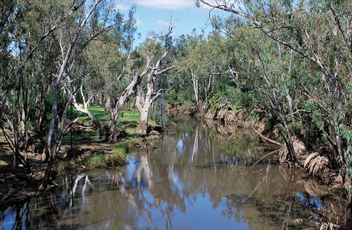 Campaspe