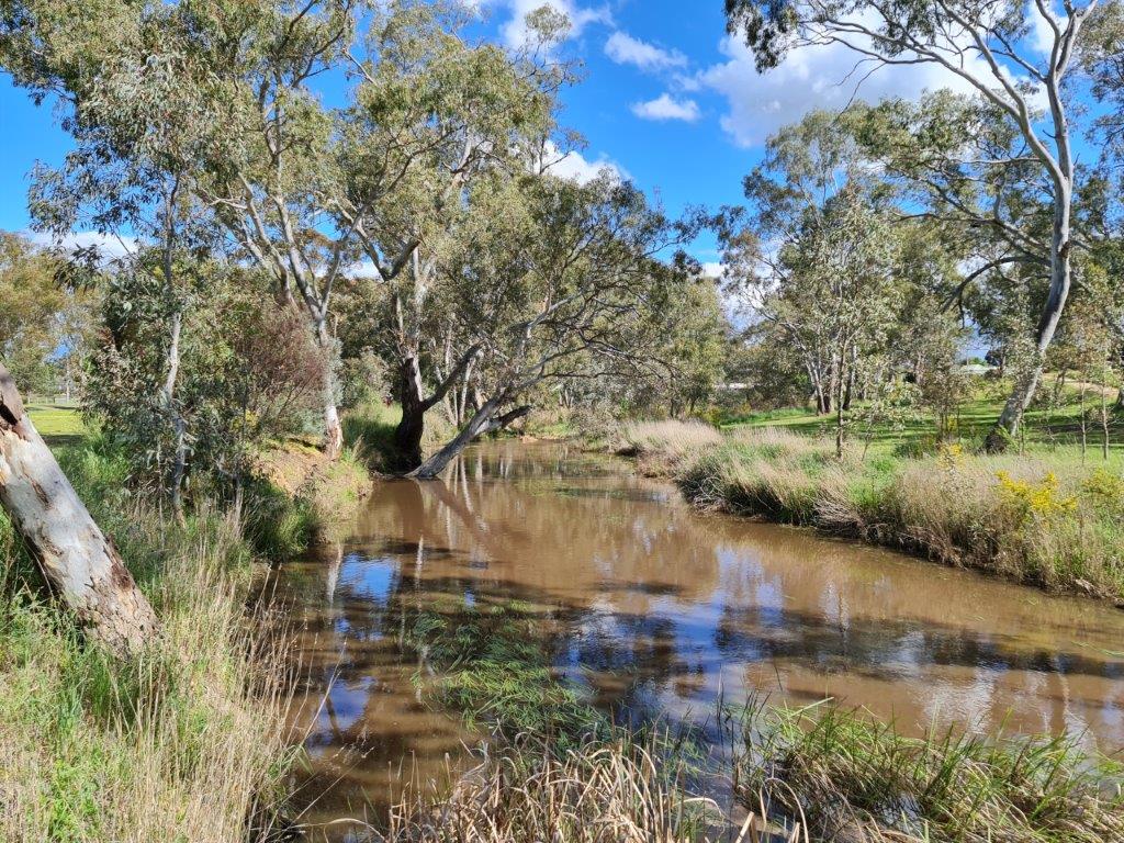 Charlton Weir Pool