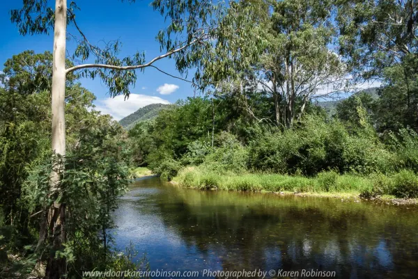 Image of Cheshunt Bridge Fishing Area