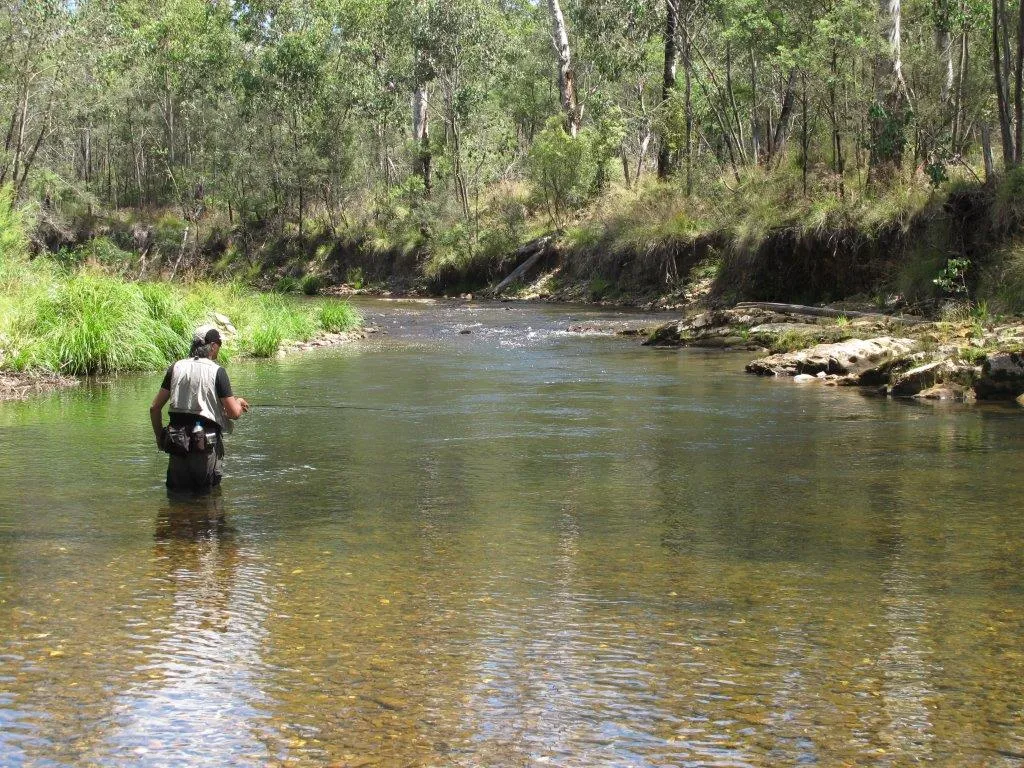 Cobungra River Fishing Guide