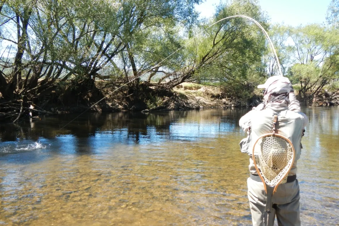 Colac Colac Bridge Fishing Guide