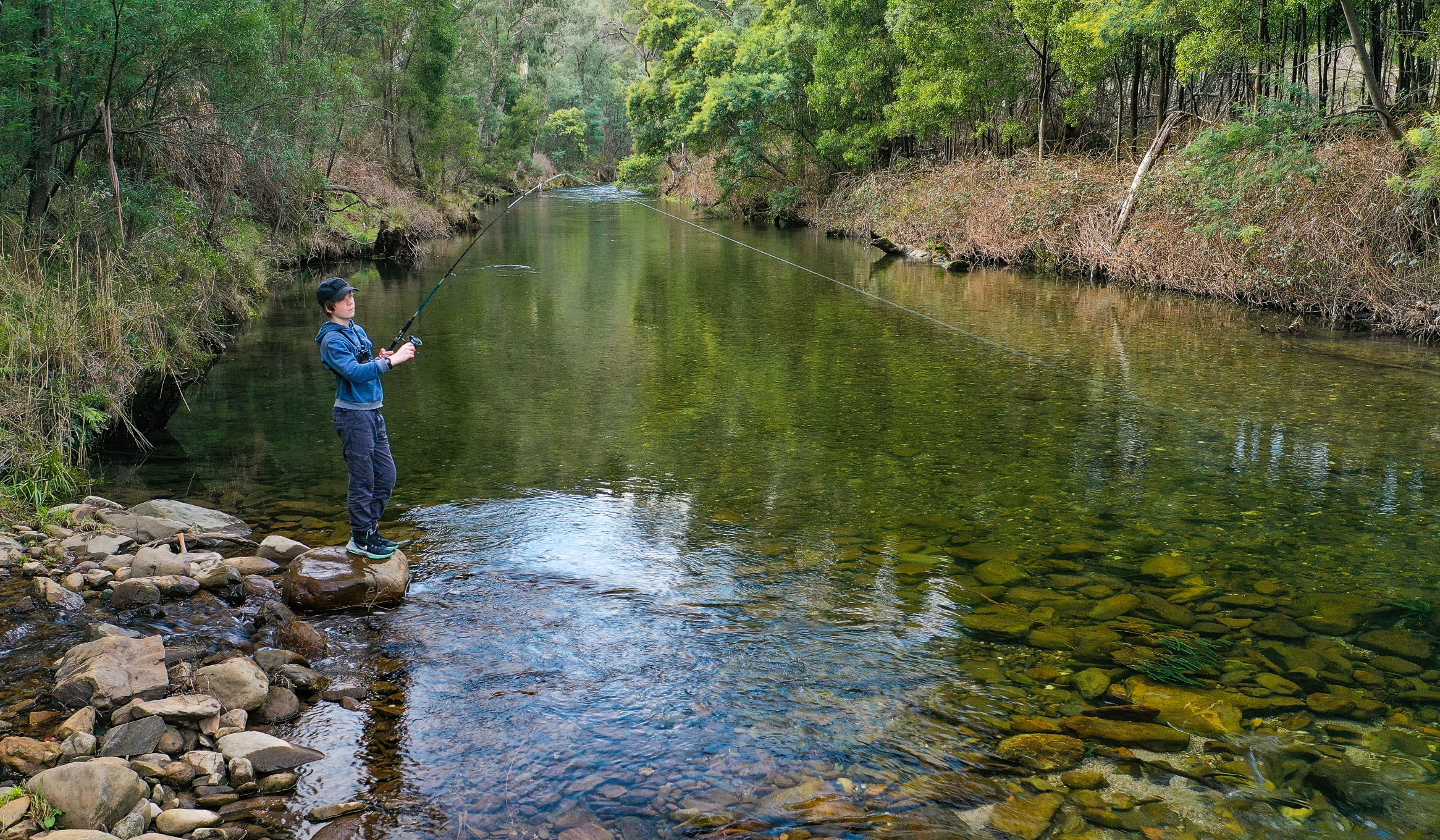 Dargo River