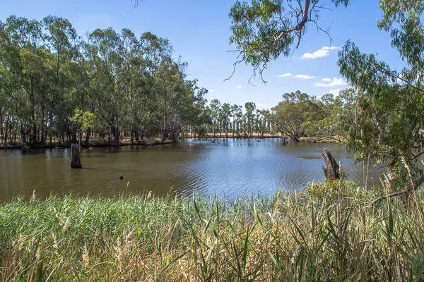 Image of Doakes Reserve