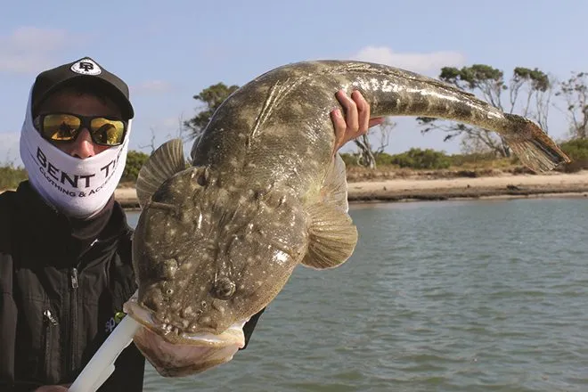 Dusky Flathead Fishing in Melbourne