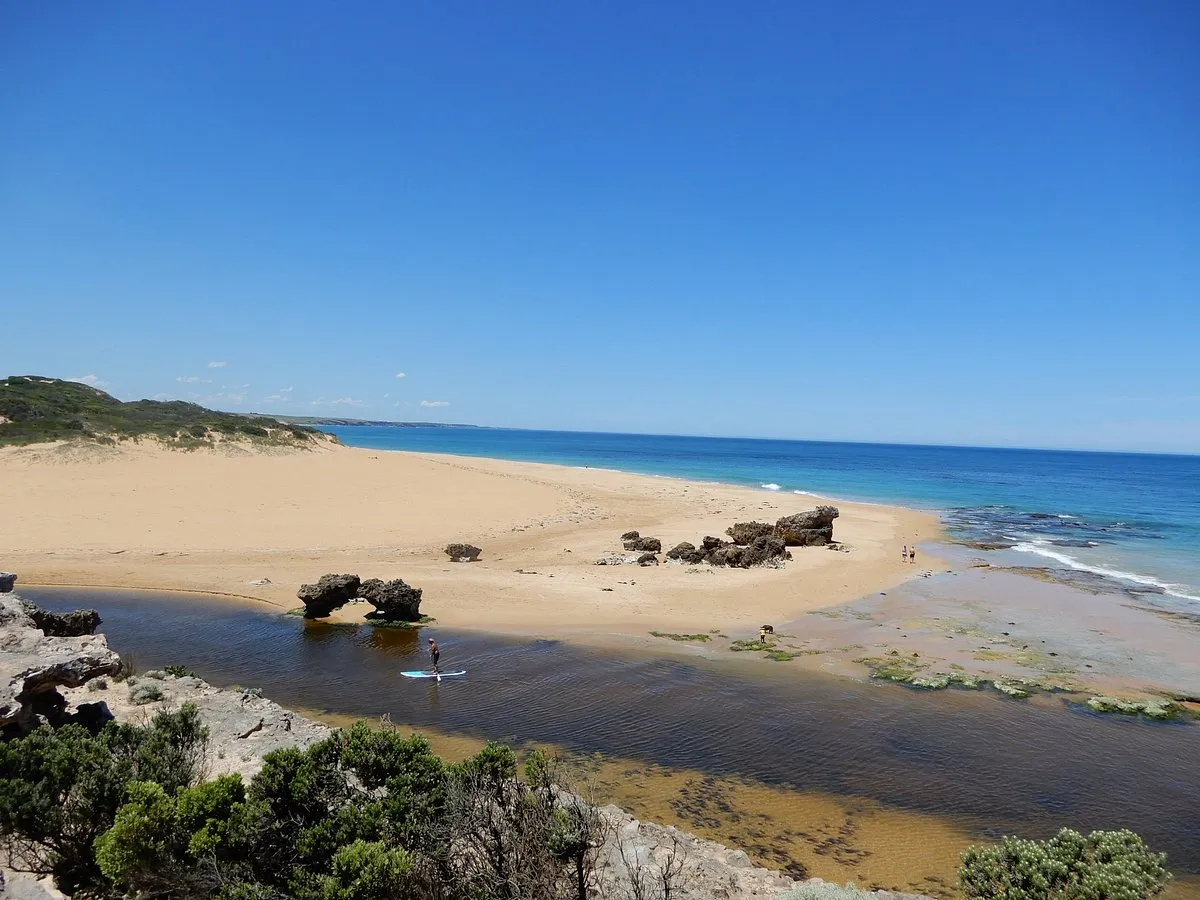 Image of Fitzroy River Estuary