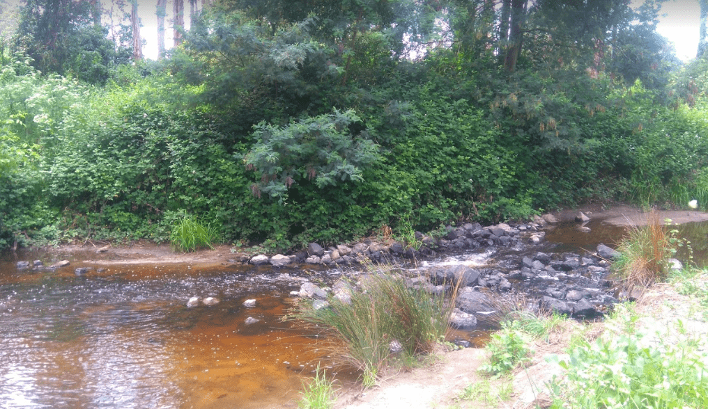 Franklin River (lower reaches & estuary)