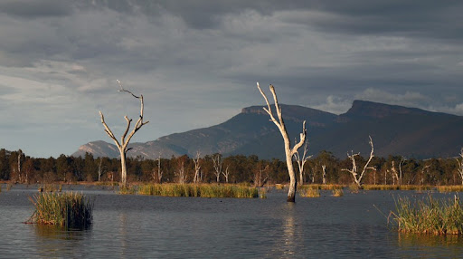 Fyans Lake