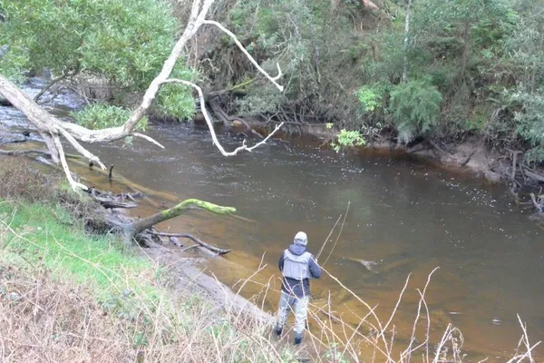 Image of Gellibrand River