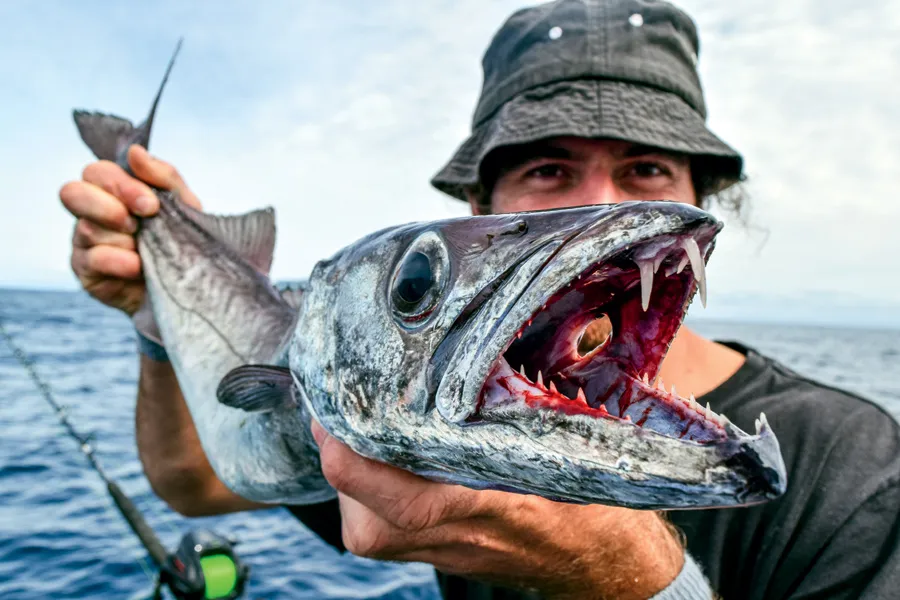 Gemfish Fishing in Melbourne