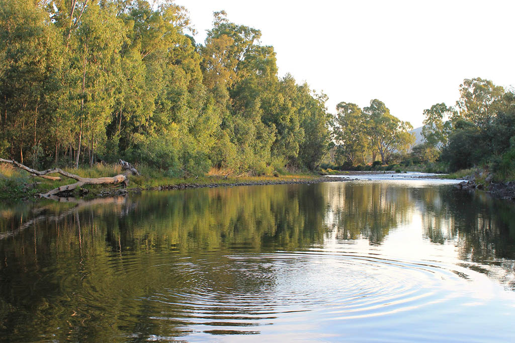 Gentle Annie River Bend