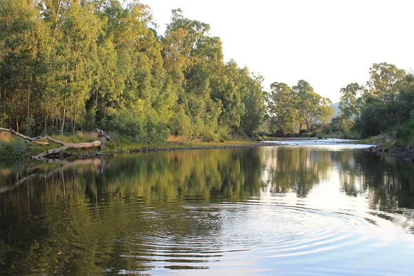 Image of Gentle Annie River Bend