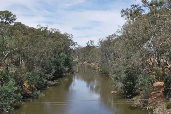 Image of Goulburn River (downstream of Shepparton)