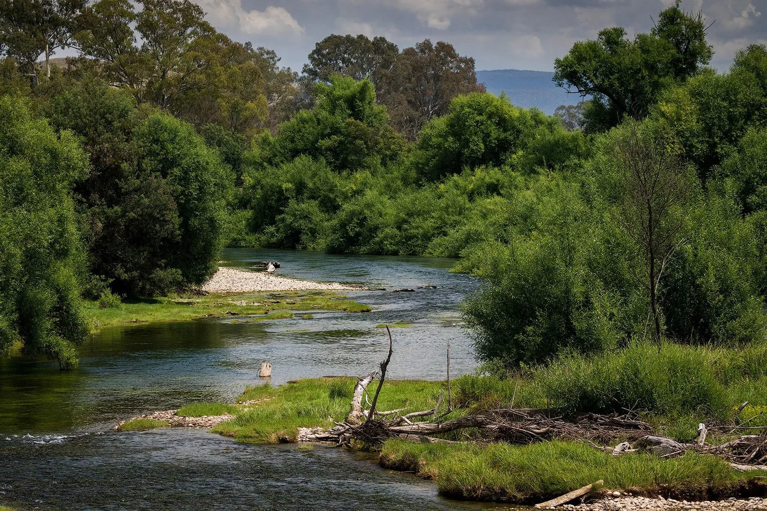 Image of Goulburn River (Pondage to Alexandra)