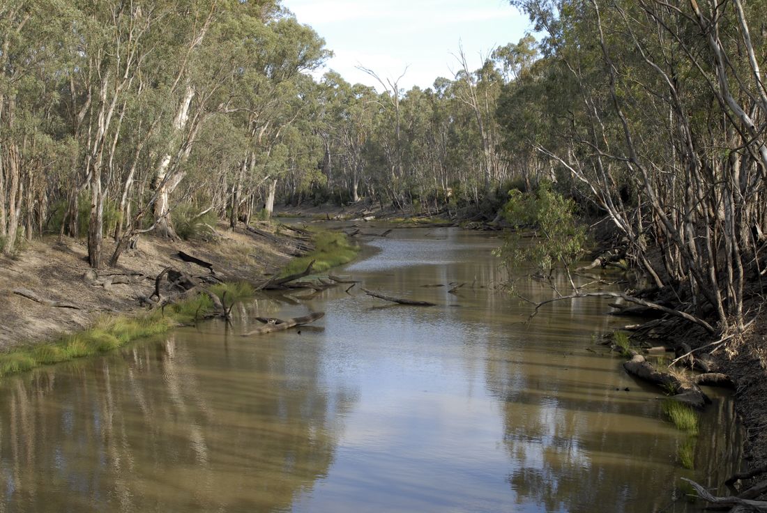 Gunbower Creek