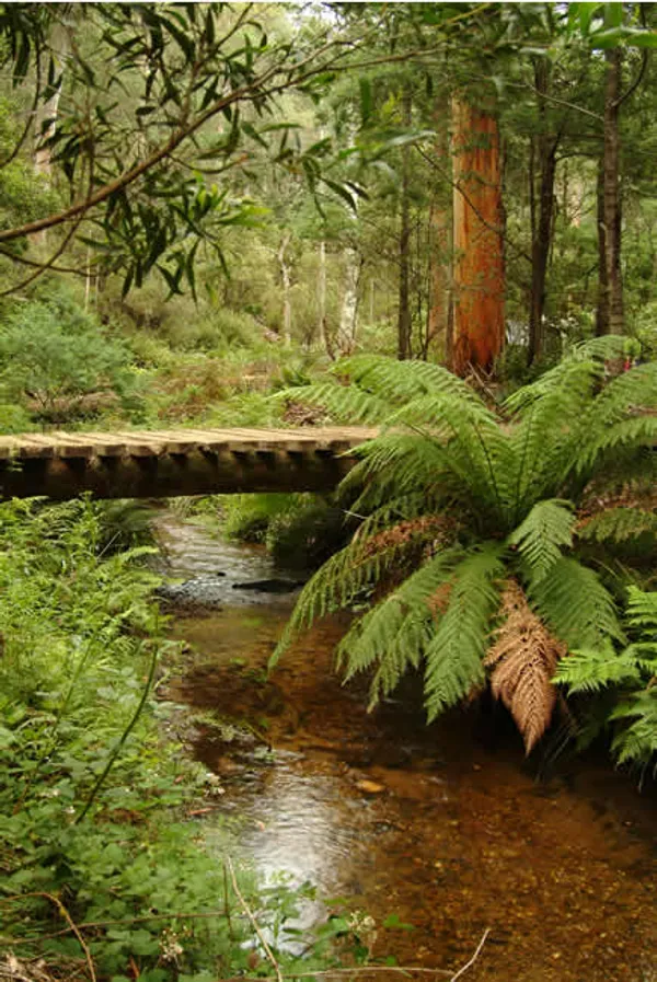 Image of Haunted Stream