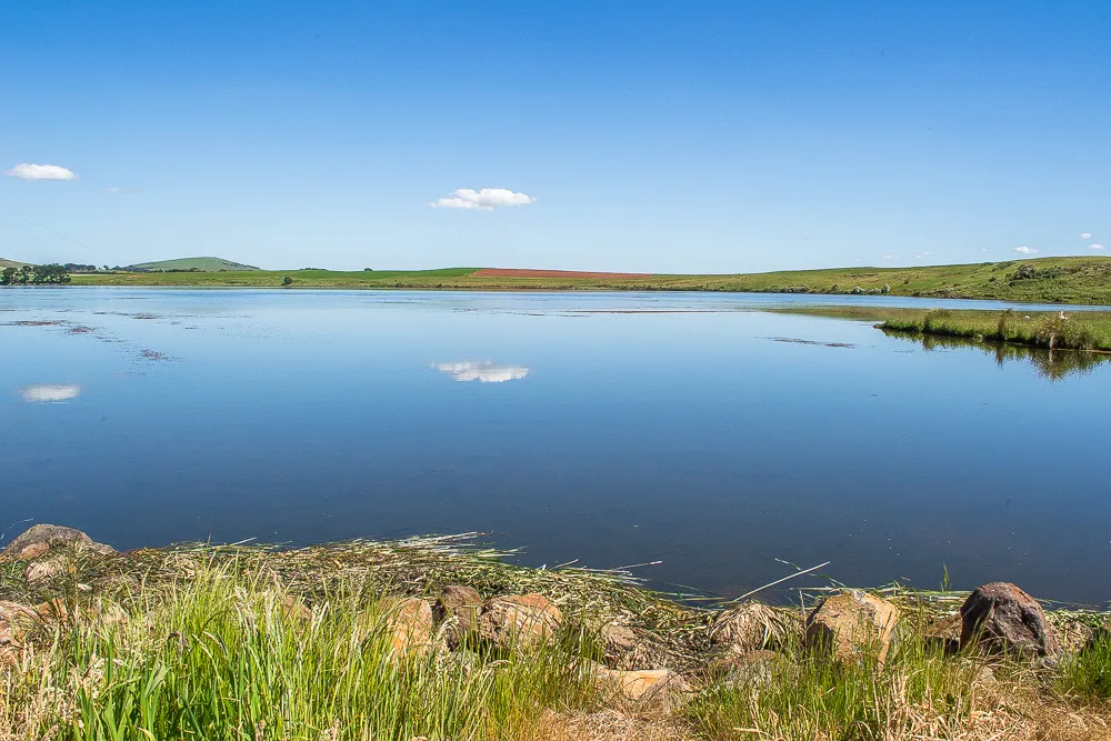 Hepburn Lagoon Fishing Guide