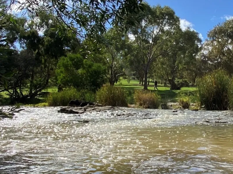 Jacksons Creek Fishing Guide