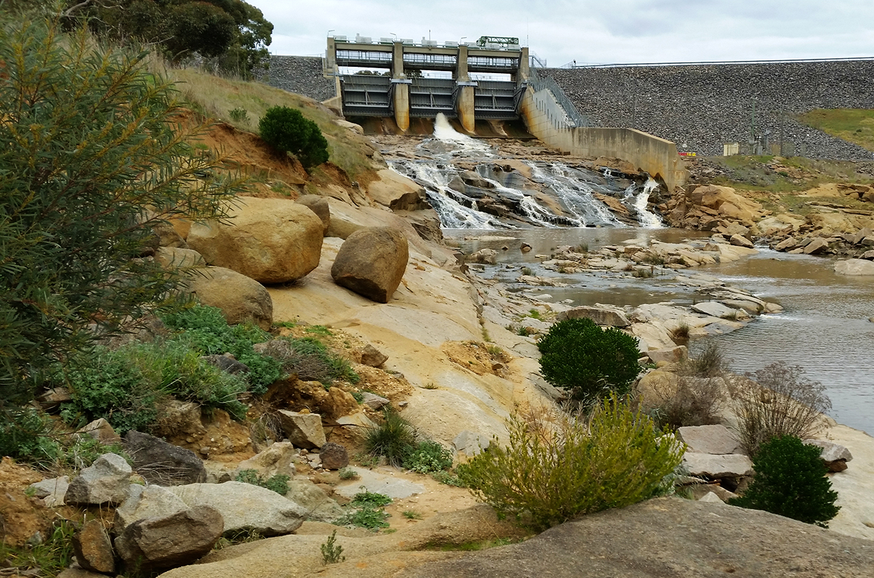 Kennedy's Weir