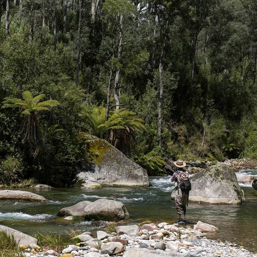 Upper Kiewa River Fishing Guide