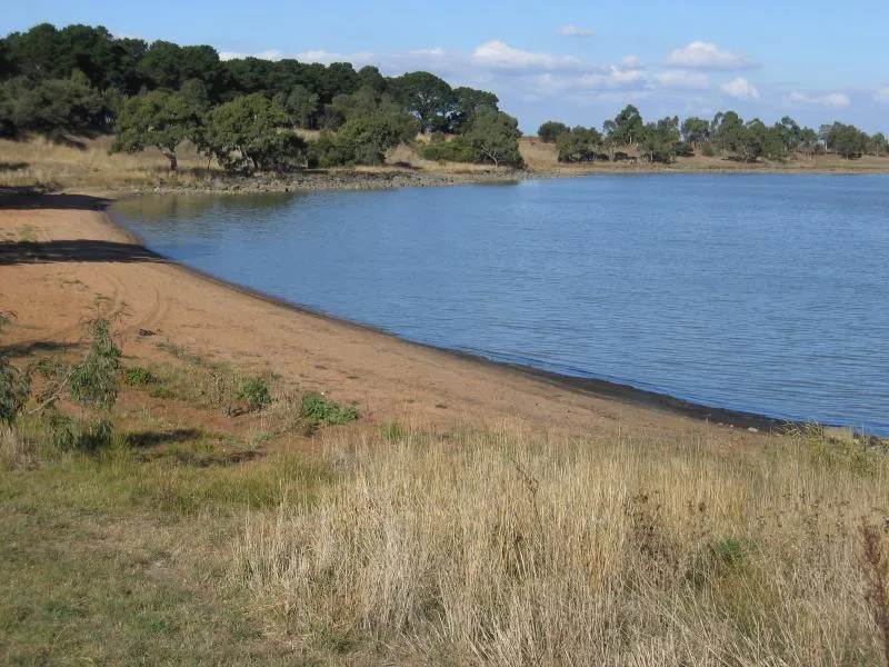 Lake Bolac Fishing Guide