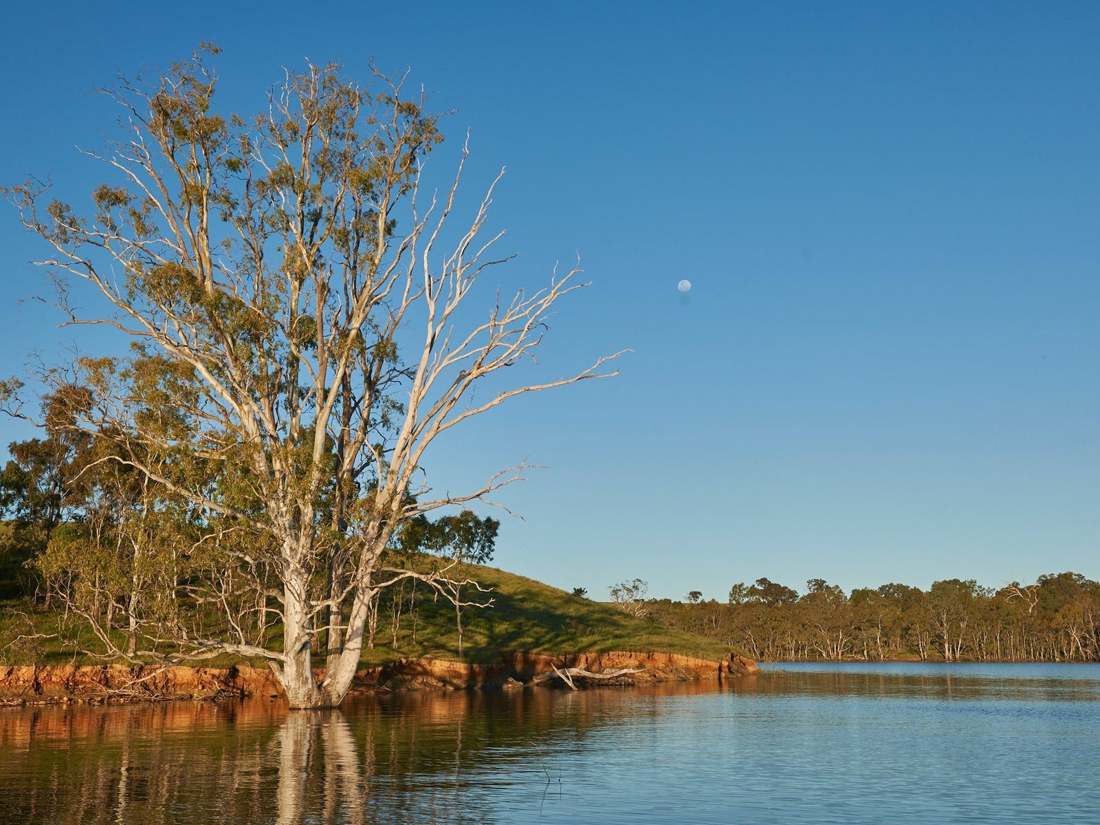 Lake Eppalock