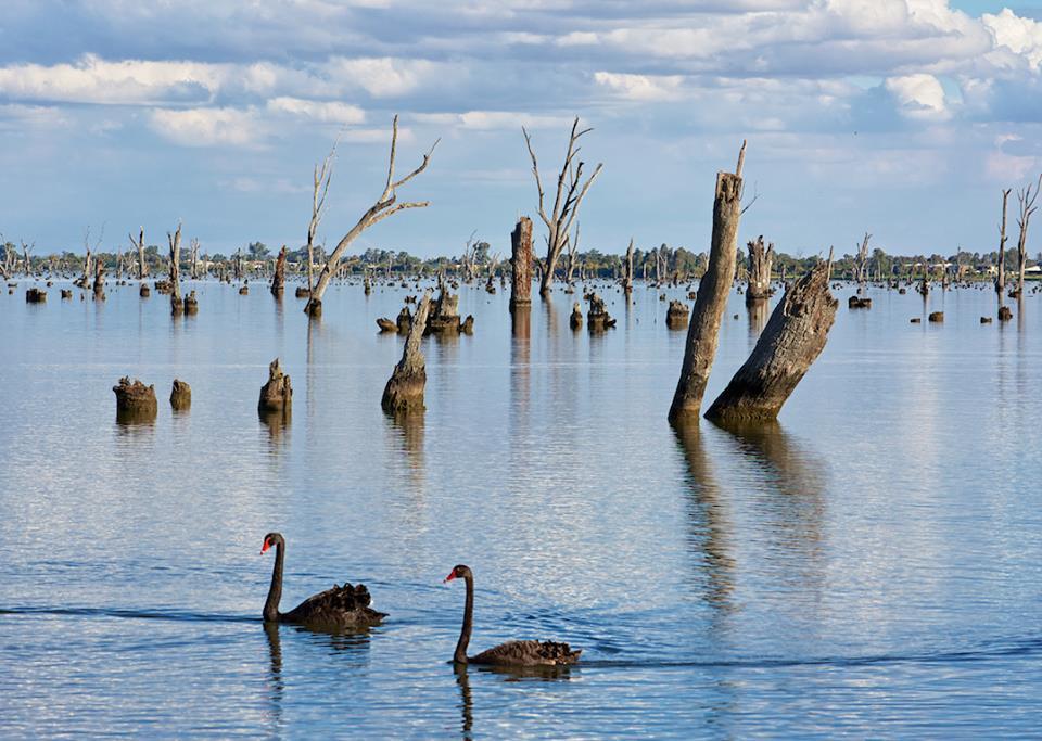 Lake Mulwala