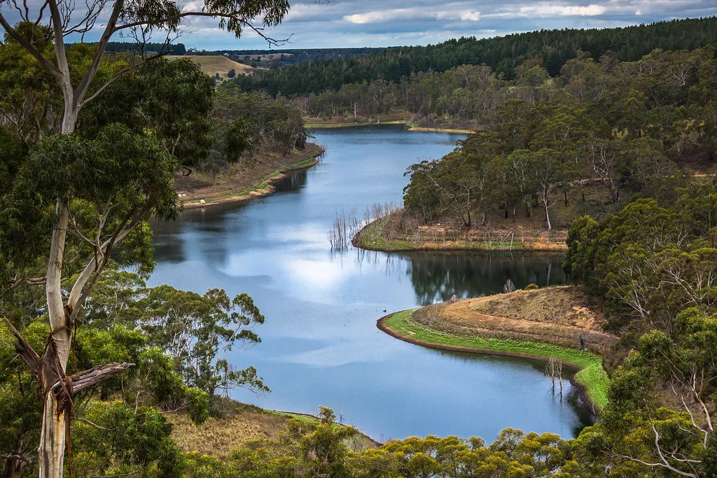 Lal Lal Reservoir Fishing Guide