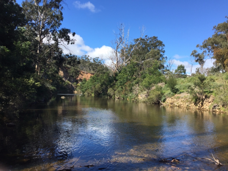 Lerderderg River